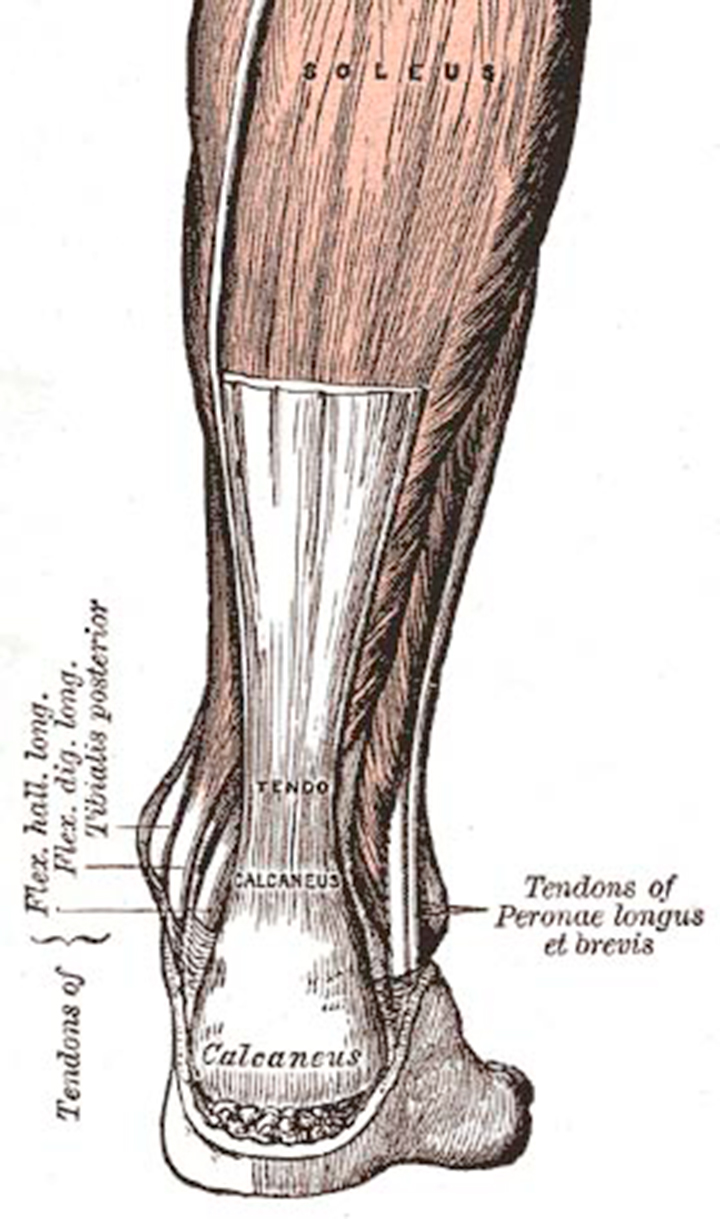 Dr. Fosdick examines feet