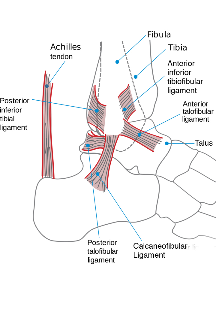 Dr. Fosdick examines feet