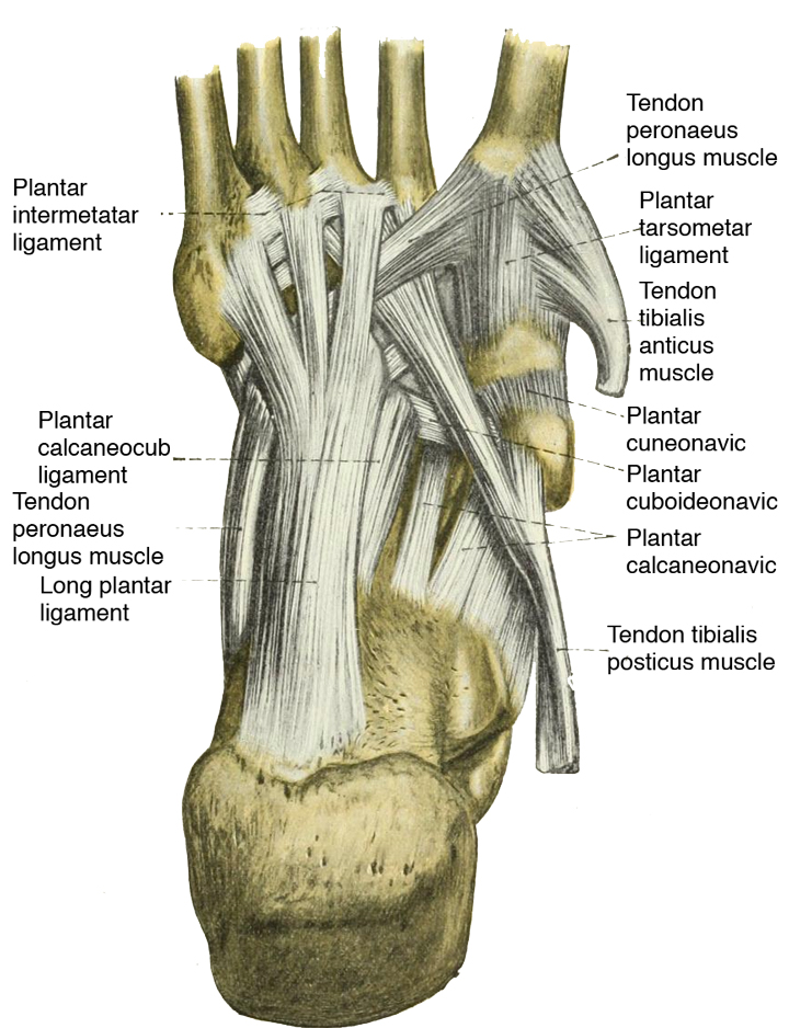 Dr. Fosdick examines feet