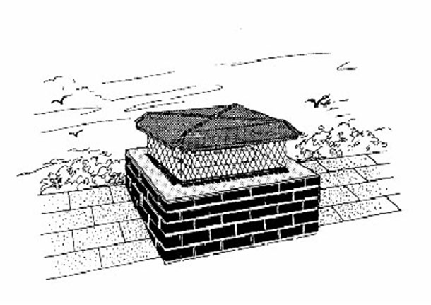 A typical Chimney Cap will prevent debris, birds and animals from destroying your chimney.